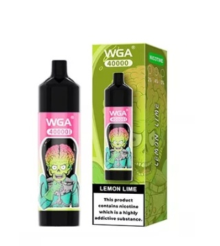 WGA 40 000 Digital Display Music